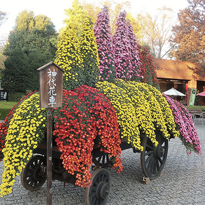 神代花車