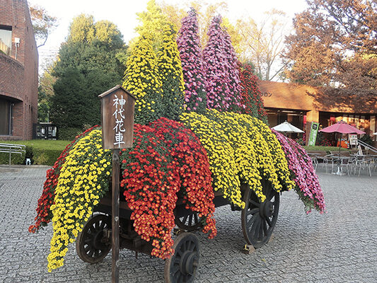 神代花車